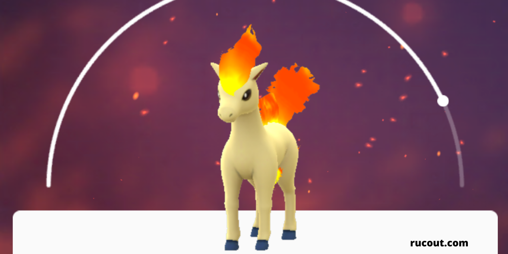 Find and Catch Ponyta